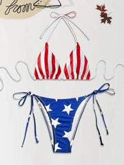 Graphic American Flag Low Rise Bikini 