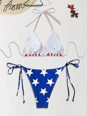 Graphic American Flag Low Rise Bikini 