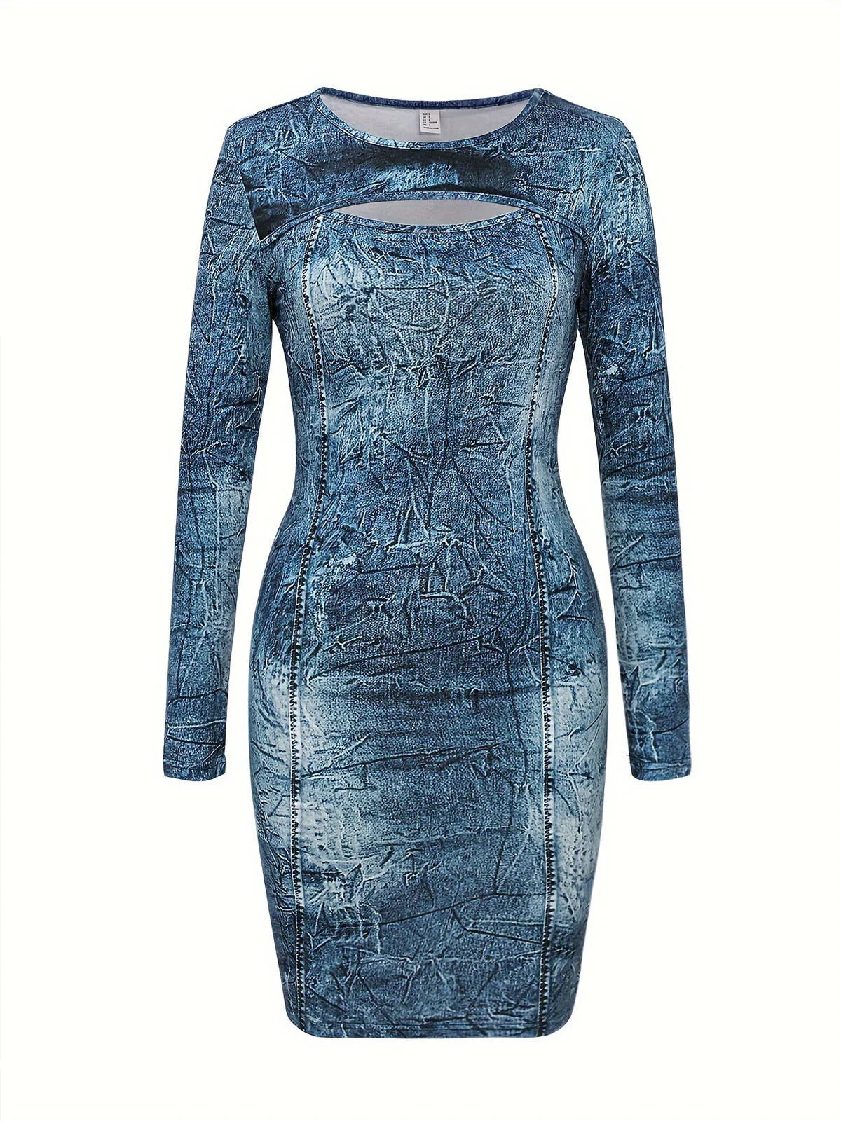 Graphic Round Neck Regular Sleeve Bodycon Dress