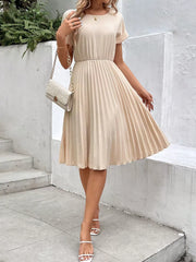 Solid Elegant Pleated A-line Dress