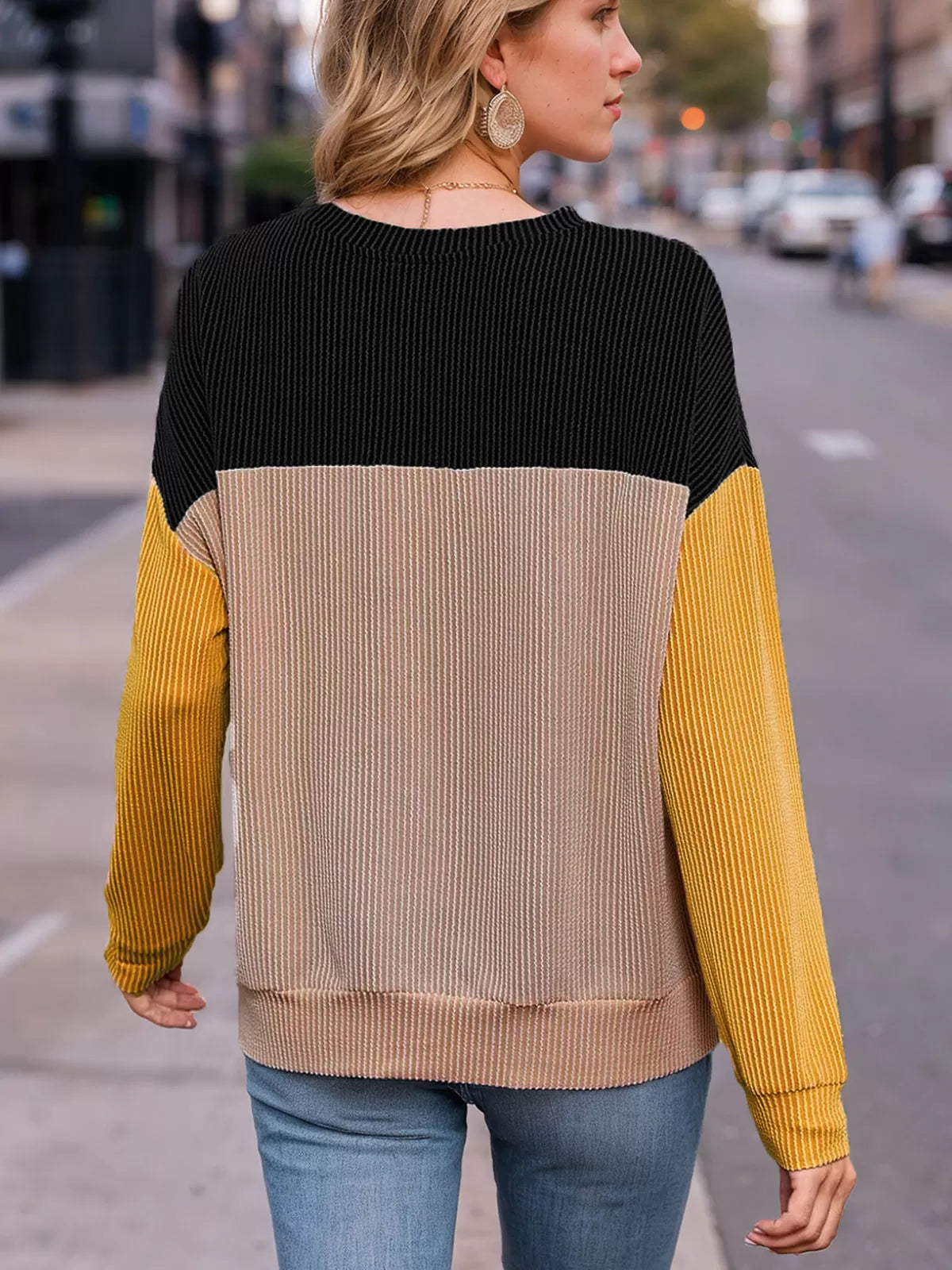 Round Neck Regular Long Sleeves Knit Sweater