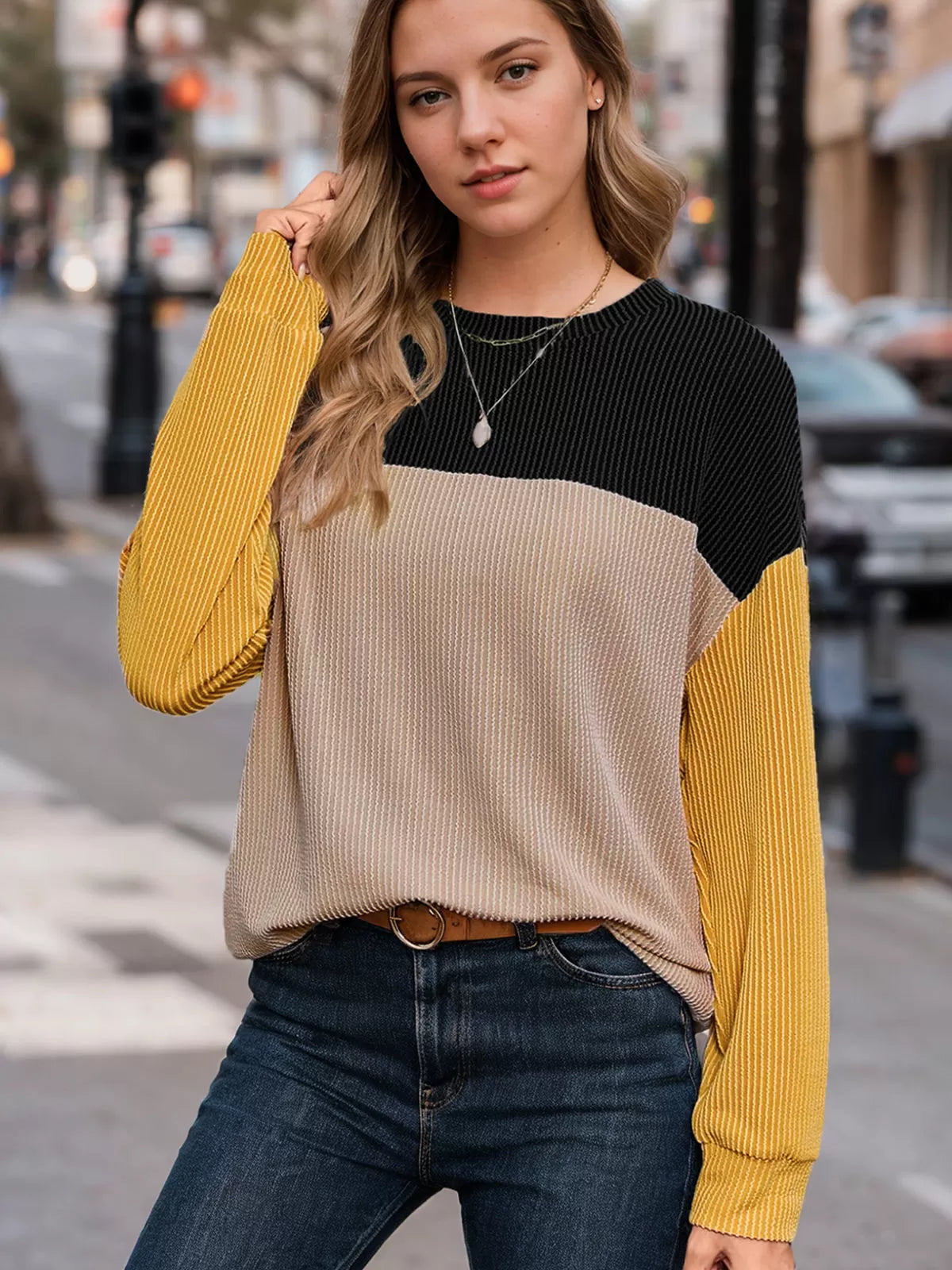 Round Neck Regular Long Sleeves Knit Sweater