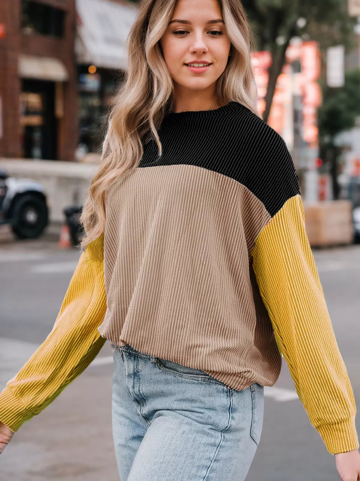 Round Neck Regular Long Sleeves Knit Sweater