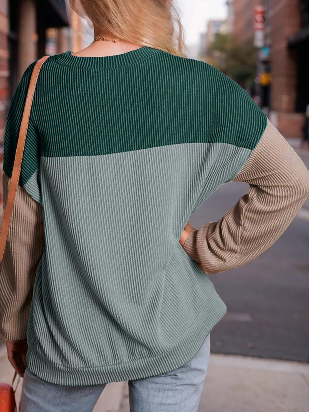 Round Neck Regular Long Sleeves Knit Sweater