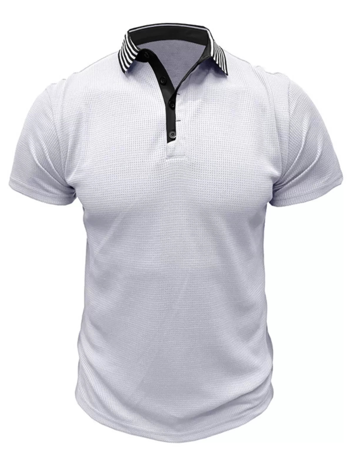 Solid Lapel Regular Polo
