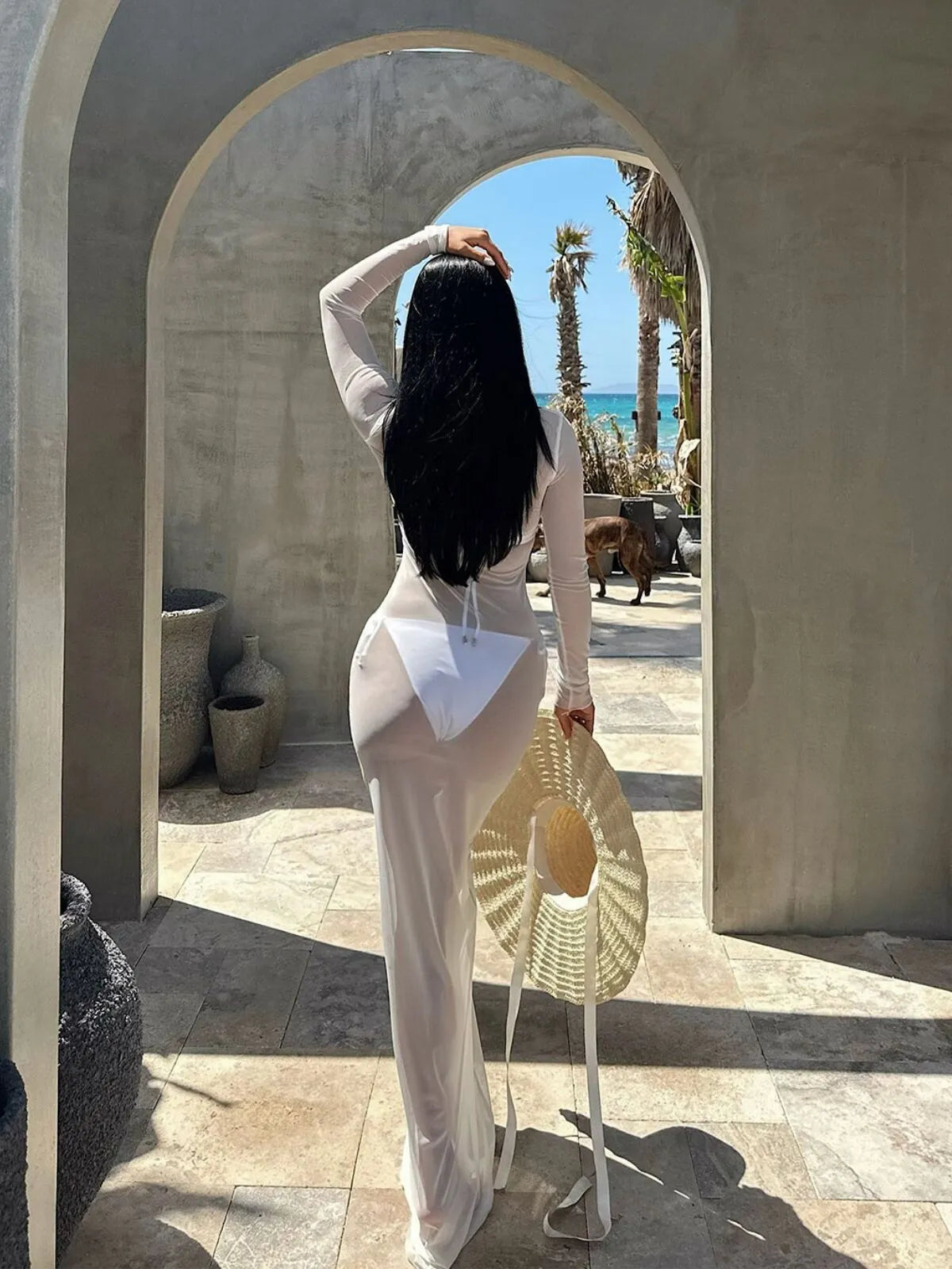 Solid Sexy Mesh Sheer Vacation Beach Cover Up Fitted Dress