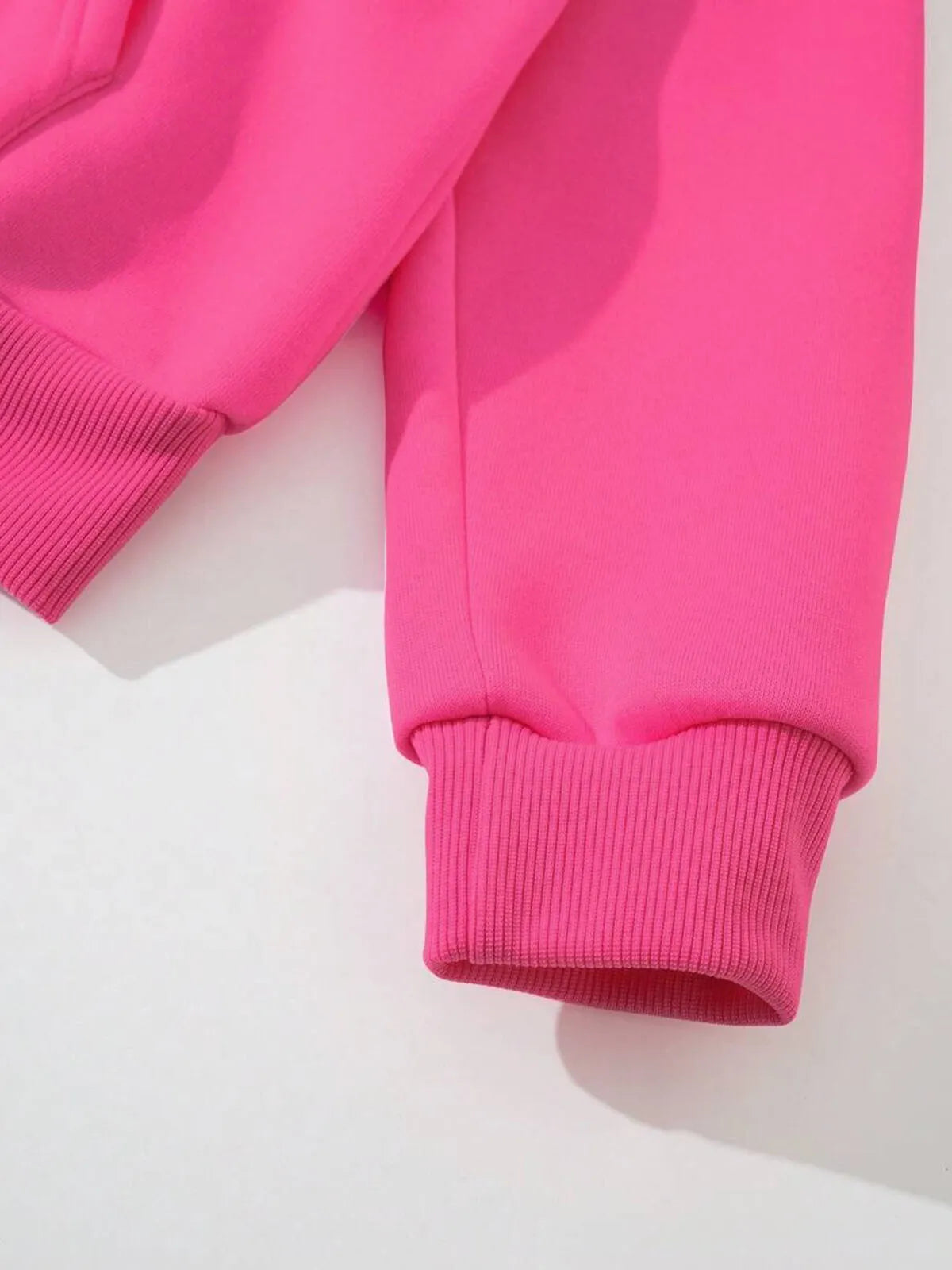 Solid Zipper Turtleneck Regular Sleeve Long Sleeve Sweatshirt