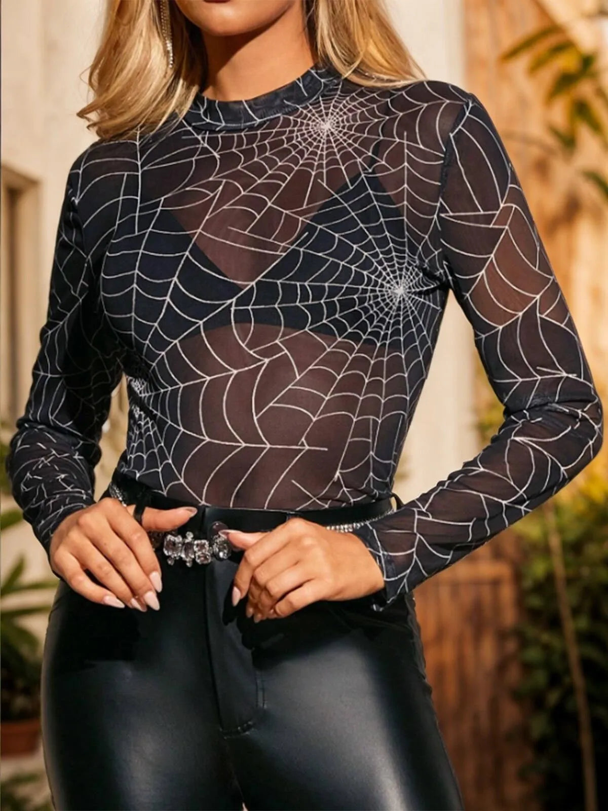Spider Net Round Neck Regular Sleeve Long Sleeve Blouse