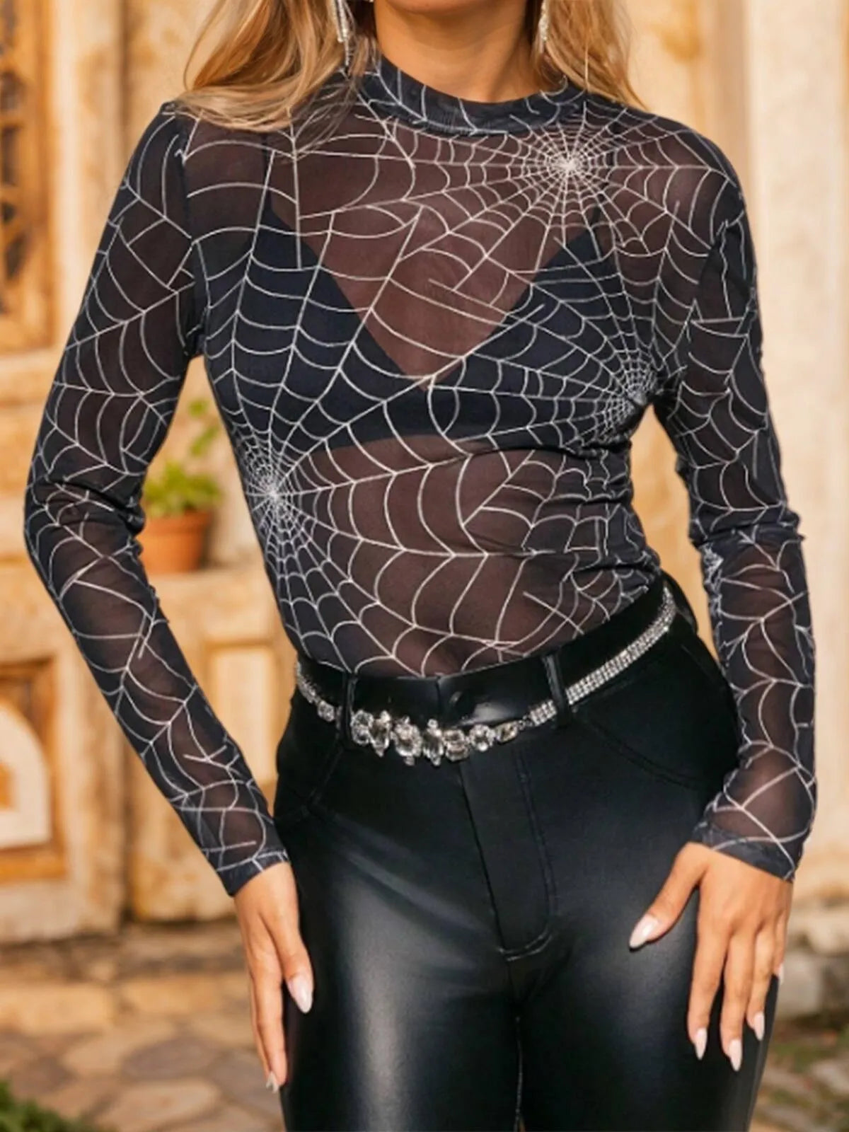 Spider Net Round Neck Regular Sleeve Long Sleeve Blouse